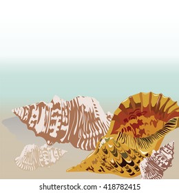 Vector sea shell hand drawn. Vintage Holiday Sea shell on beach background. Scallop shell for Greeting card or travel cards