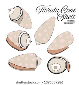 Vector Sea Shell Illustration Set