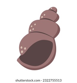 Vector sea shell, isolated on white background
