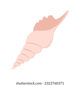 Vector sea shell, isolated on white background