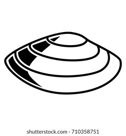 Vector Sea Shell Isolated On White Background