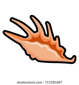 Vector Sea Shell Isolated On White Background