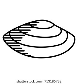 Vector Sea Shell Isolated On White Background