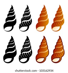 vector sea shells