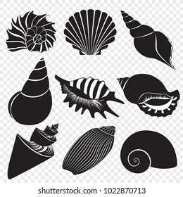 Vector sea shells black silhouettes isolated on the alpha transperant background.