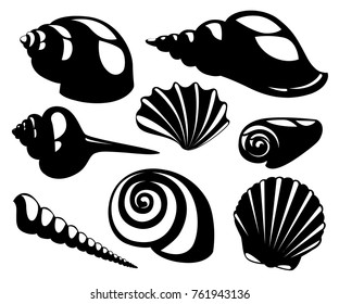 Vector sea shells and pearl seashell silhouettes isolated on white background. Website page and mobile app design