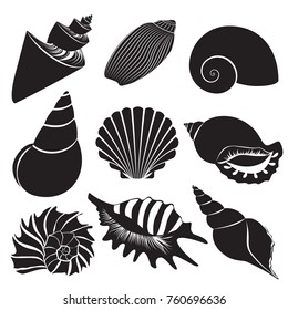 Vector sea shells. Seashell silhouettes set isolated.