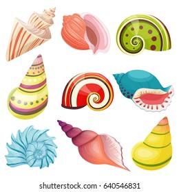 Vector sea shells set.