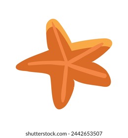 Vector sea star caribbean starfish on a white background.
