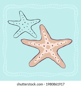 Vector sea star, outline and colorful seashell Beautiful sea element, underwater flora and fauna.  Aquarium, ocean, and undersea water life in hand-drawn or cartoon style.