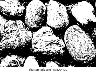 Vector sea stones background. Black and white texture. Vector illustration.