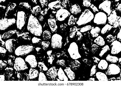 Vector sea stones background. Black and white texture. Vector illustration