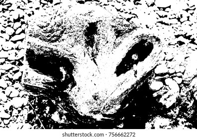 Vector sea stones background. Black and white texture. Vector illustration