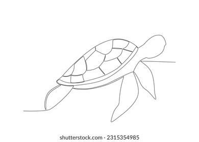 Vector sea turtle fauna aesthetic oneline continuous single line art