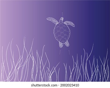 vector sea turtle in water illustration, wallpaper and background