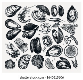 Vector seafood collection. Hand drawn fish, shellfish, shrimps, mollusks sketches set. Great for package, recipes, seafood restaurant or shop menu. Cooked clams, oysters, cockles, mussels top view.