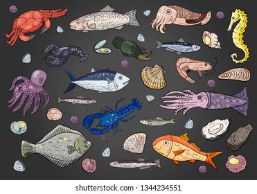 Vector seafood and fish set on black background. 