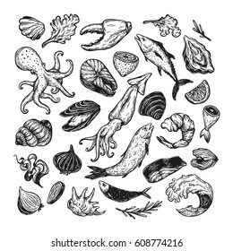 Vector seafood, hand drawn illustrations. Set of seafood products. 