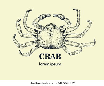 Vector seafood illustration with crab. Retro logo temtlate.