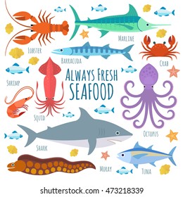 Vector seafood illustration with marine creatures 