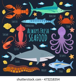 Vector seafood illustration with marine creatures 
