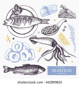 Vector Seafood illustration set. Hand drawn sea food sketch collection - fresh fish, caviar, squid and spice. 