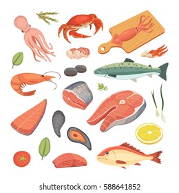 Vector Seafood illustrations set flat fresh fish and crab. Lobster and oyster, shrimp and menu, octopus animal, shellfish lemon