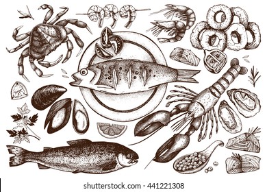 Vector Seafood illustrations set. Hand drawn sea food sketch collection - fresh fish, lobster, crab, oyster, mussel, squid and spice. Vintage outlines isolated on white. 