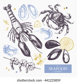 Vector Seafood illustrations set. Hand drawn sea food sketch collection - fresh fish, lobster, crab, oyster, mussel, shrimps and spice. Vintage menu elements.