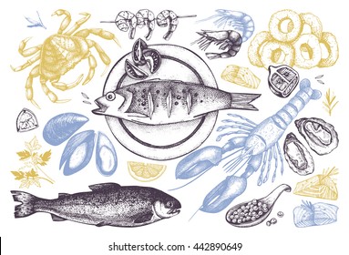 Vector Seafood illustrations set. Hand drawn sea food sketch collection - fresh fish, lobster, crab, oyster, mussel, squid and spice. Vintage outlines isolated on white. 