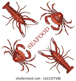 Vector seafood seamless pattern. Fresh, premium quality lobster and crabs