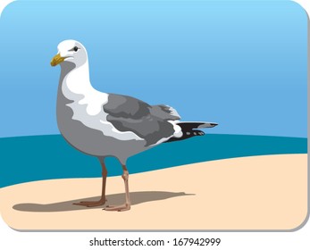 Vector Seagull Illustration With Background