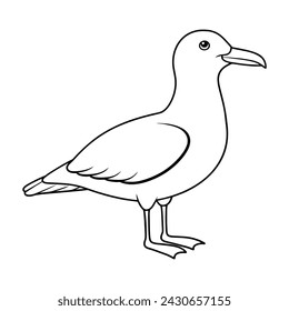 Vector de ilustración de gaviota para colorear página para niños