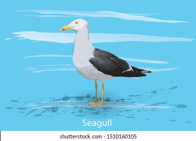 Vector of seagulls on blue background. Vector illustration for prints. Children's books illustration. 