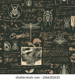 Vector seamless abstract background with insects in retro style. Beetles, dragonflies, ink stains, doodles and handwritten inscriptions on the old manuscripts. Can be used as Wallpaper, wrapping paper