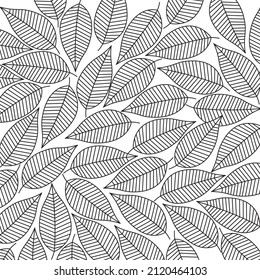 Vector Seamless abstract black and white Floral pattern or leaves.