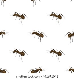 Vector Seamless Animal Pattern. Ant Isolated on White Background.