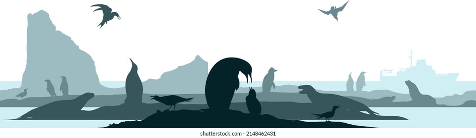 Vektor nahtlose Antarktis mit Tieren: Magellanic, Chinstrap, Macaroni, Kaiser und König Pinguine, Robbe, Albatross, Seelöwe, Seeleopardenrobbe, Rossrobbe, antarktische Zwergtern, Skua, Seegut, Fulmar.