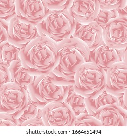 Vector seamless Aphrodite rose, Beautiful pink rose pattern in pastel tone.