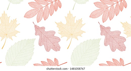 Vector seamless autumn background with green, orange and red leaves. EPS 10
