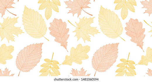 Vector seamless autumn background with red and orange leaves. EPS 10