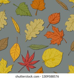 Vector Seamless Autumn Pattern with Leaves on Gray Background