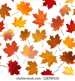 Vector seamless background: autumn maple leaves on white.