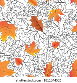 Vector de fondo transparente con hojas de otoño brillantes.