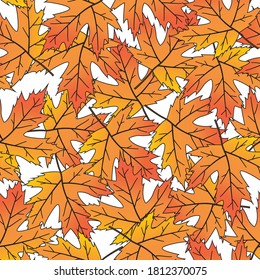 Vector de fondo transparente con hojas de otoño brillantes.