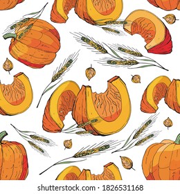  fondo vectorial transparente con calabazas de vacaciones brillantes para el diseño. garabatos