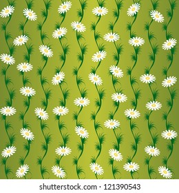 Vector seamless background with camomile. White flowers and green grass.