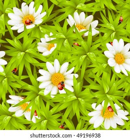 Vector seamless background: camomiles and ladybugs