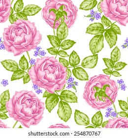 Vector seamless background. Design for fabrics, textiles, paper, wallpaper, web. Rose. Retro. Vintage style.