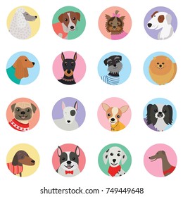 Vector seamless background with dogs icon flat design